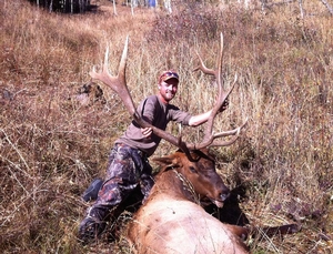 Colorado Elk Hunts